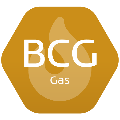 BCG Logo